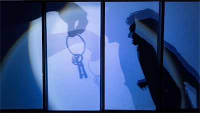 Aaron Greenberg as D-503